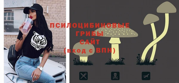 a pvp Богданович