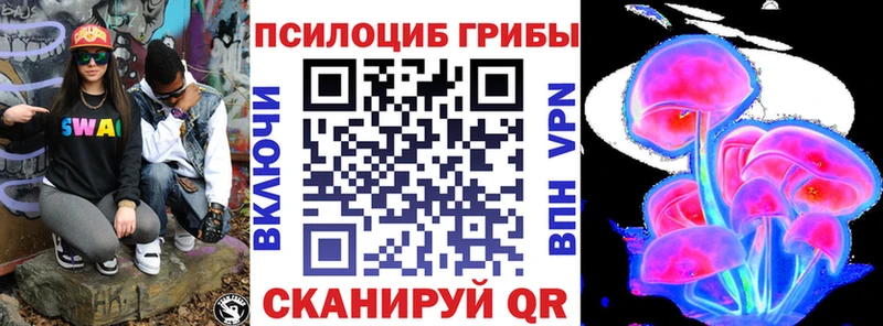 Купить закладки  Дмитров  Галлюциногенные грибы Cubensis 